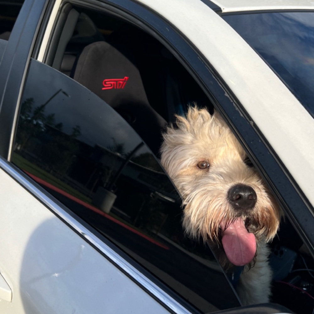 Like to get alerted when I go live!